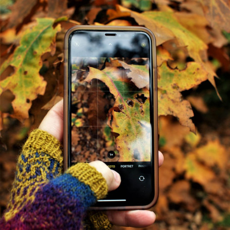 Autumn Term Phone Photograohy Autumn Term Phone Photograohy